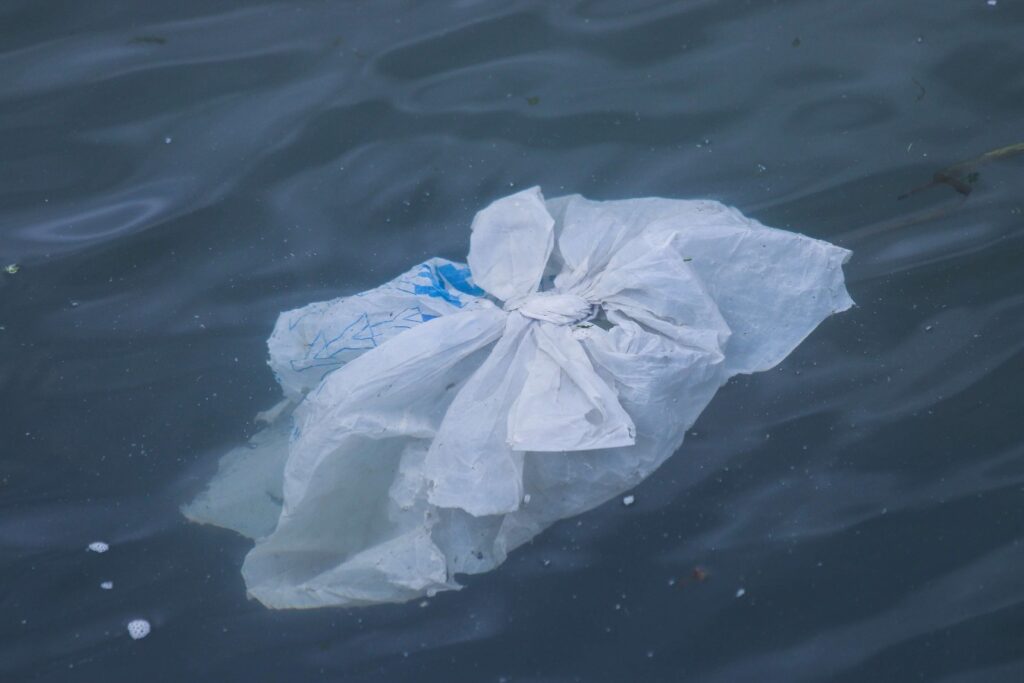 Plastic grocery bag in the ocean