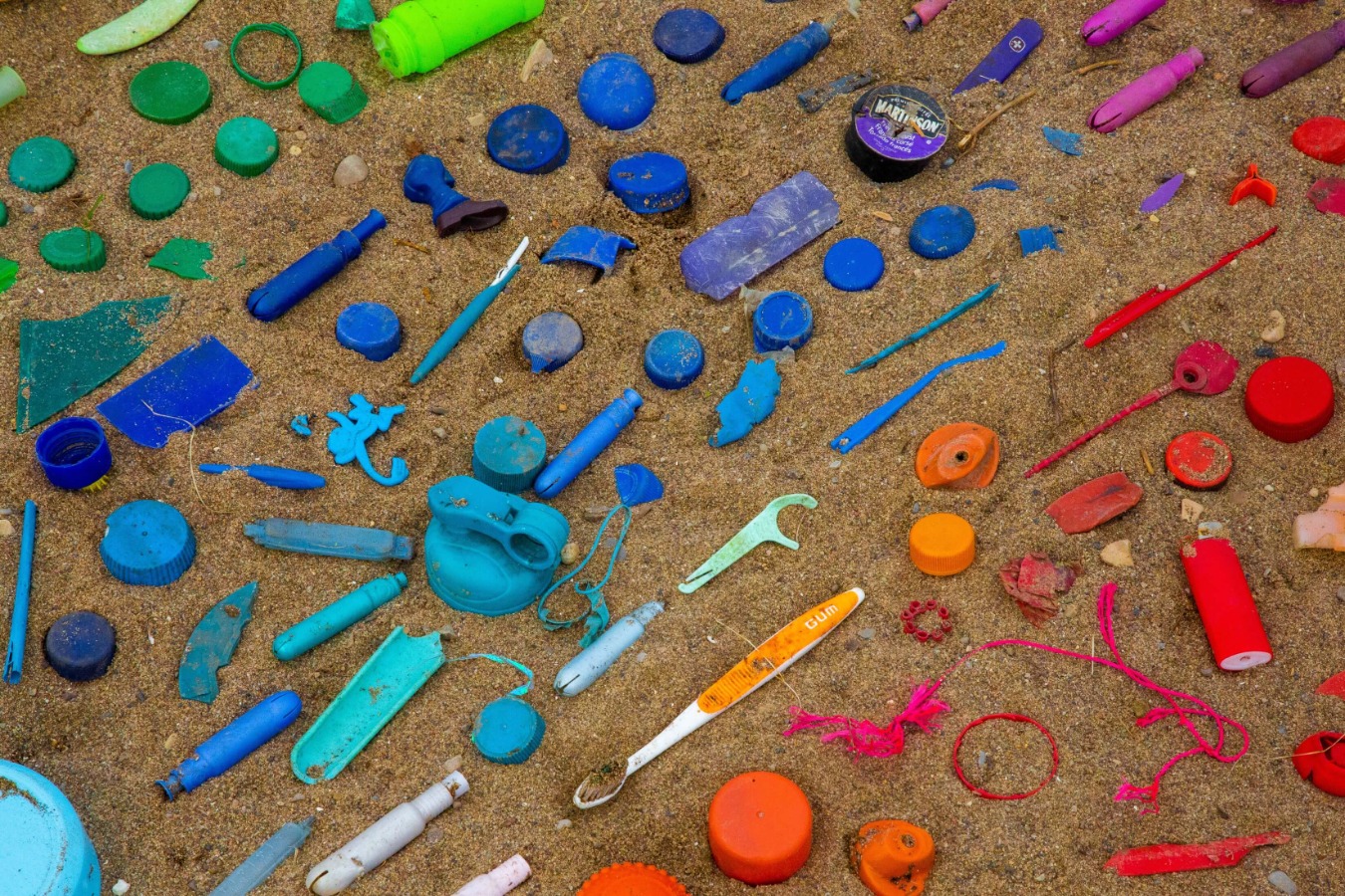 Plastic beach pollution: plastic caps, toothbrushes, tampon applicators and more.
